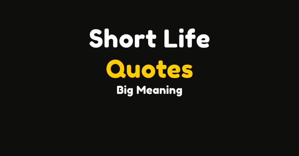 120 Short Life Quotes That Hold Big Meaning