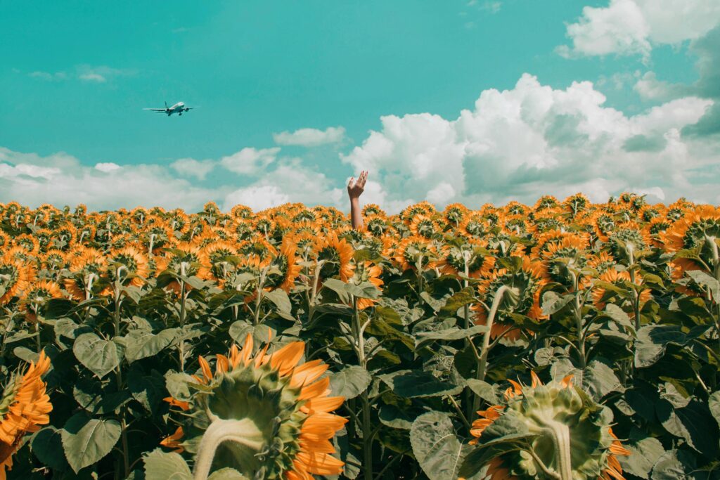 150 Profound Quotes That Hold Powerful Life Lessons