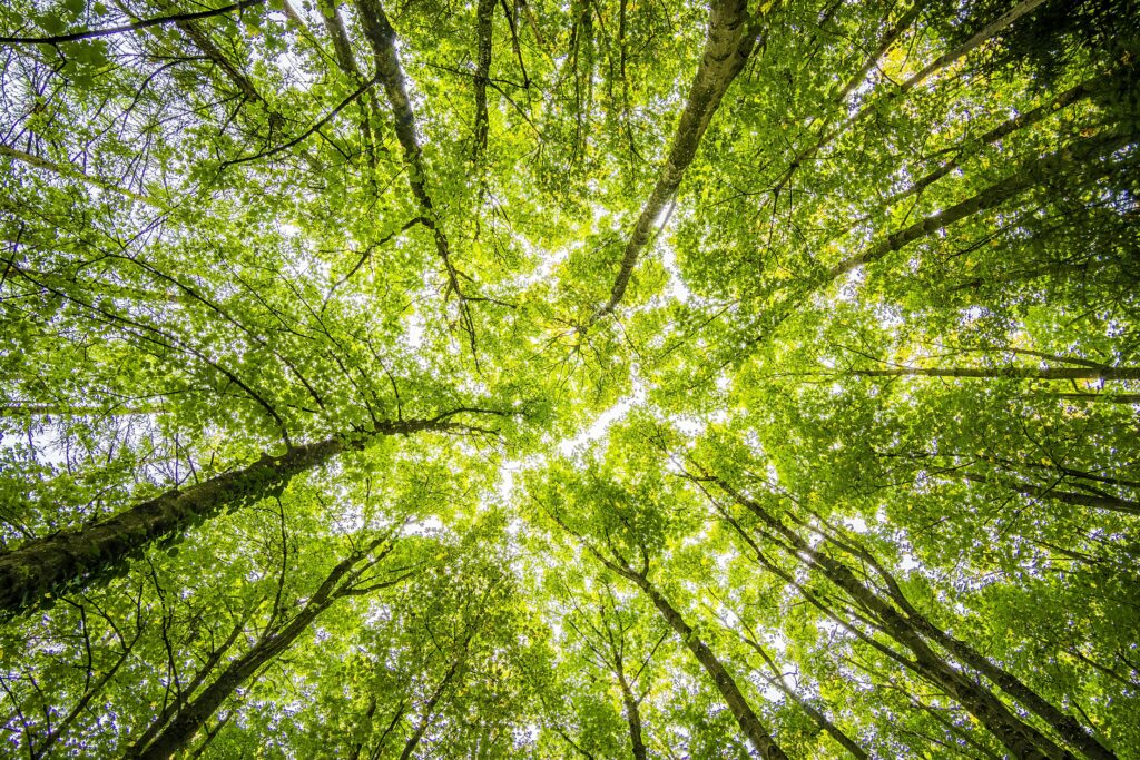 150 Meaningful Quotes to Inspire Growth and Change