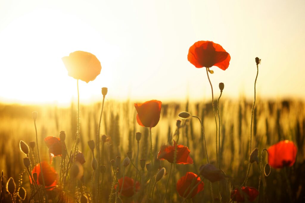 150 Live-by Quotes to Shape a Better Life