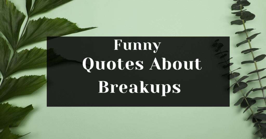 190 Funny Quotes About Breakups To Laugh