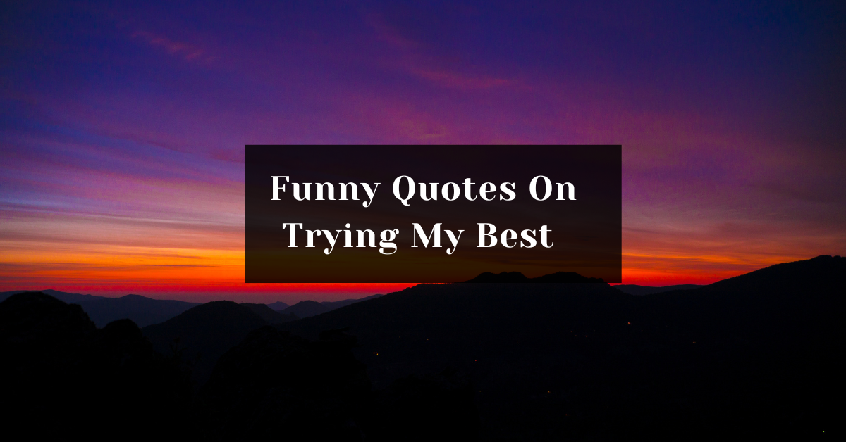 100 Funny Quotes On Trying My Best