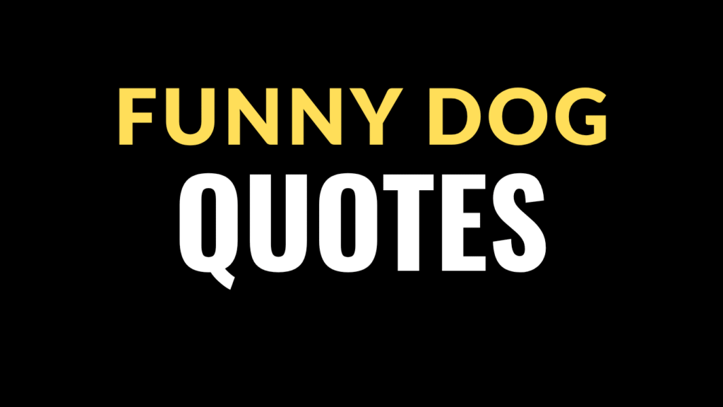 65 Funny Dog Quotes To Share