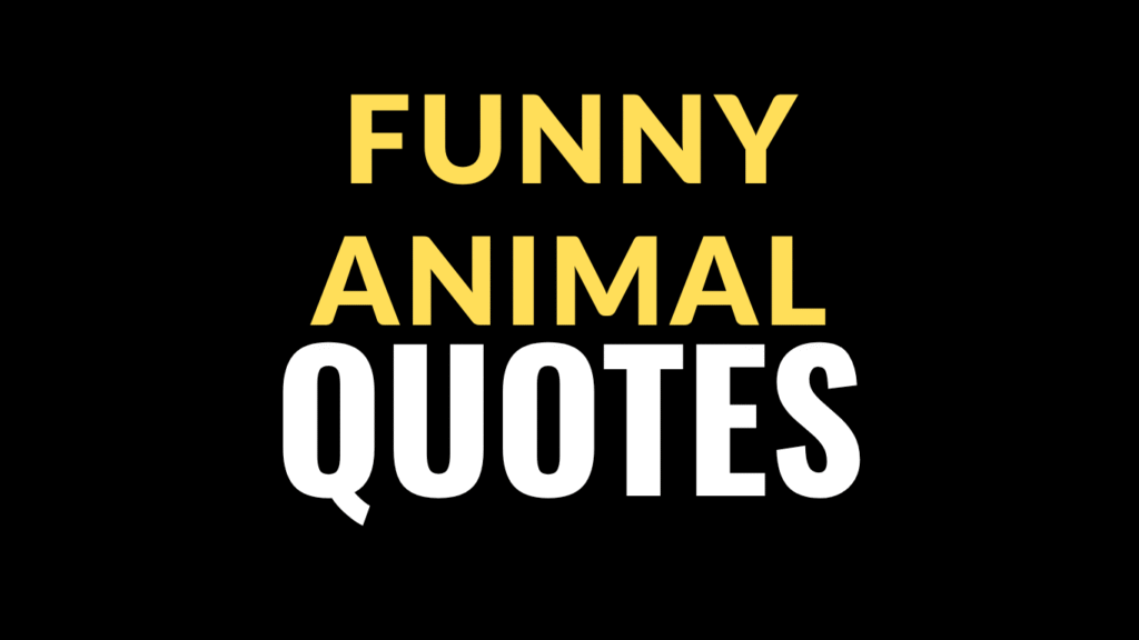 50 Funny Cute Animal Quotes