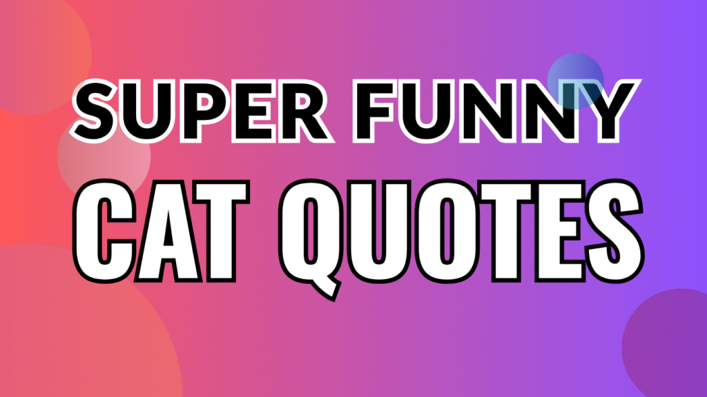 45 Funny Super Cute Cat Quotes