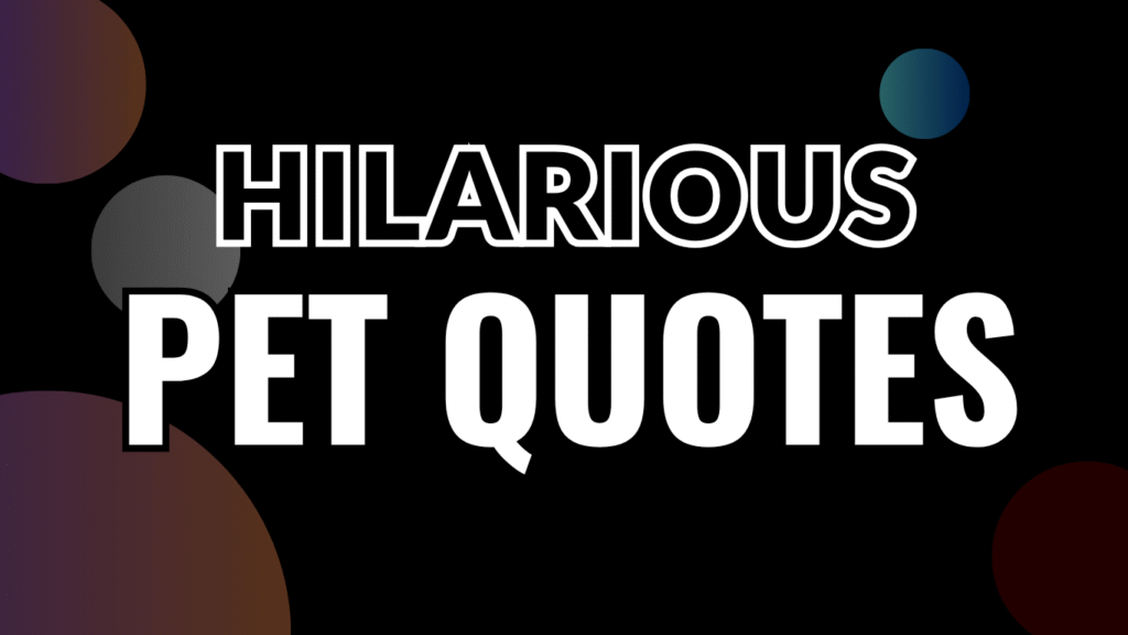 75 Hilarious Pet Quotes That’ll Make You Wag