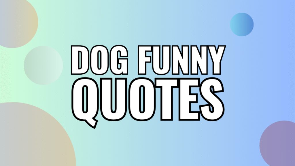 75 Funny Dog Quotes That Perfectly Describe Life With a Dog