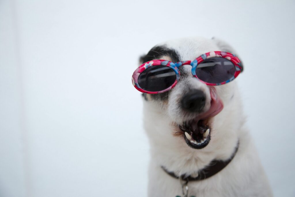 50+ Funny Quotes for the Day That’ll Instantly Boost Your Mood
