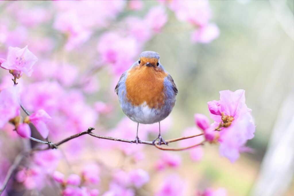 60 Funny Quotes About Spring Cleaning