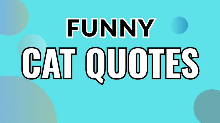 50 Funny Cat Quotes Is Purr-Fectly Hilarious