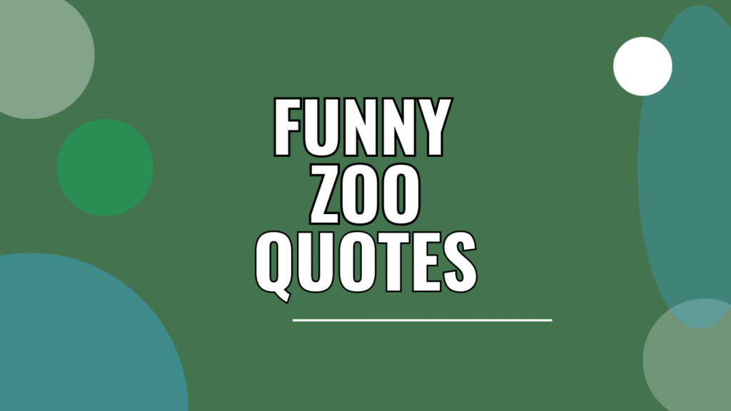 Funny Zoo Quotes To Read Today
