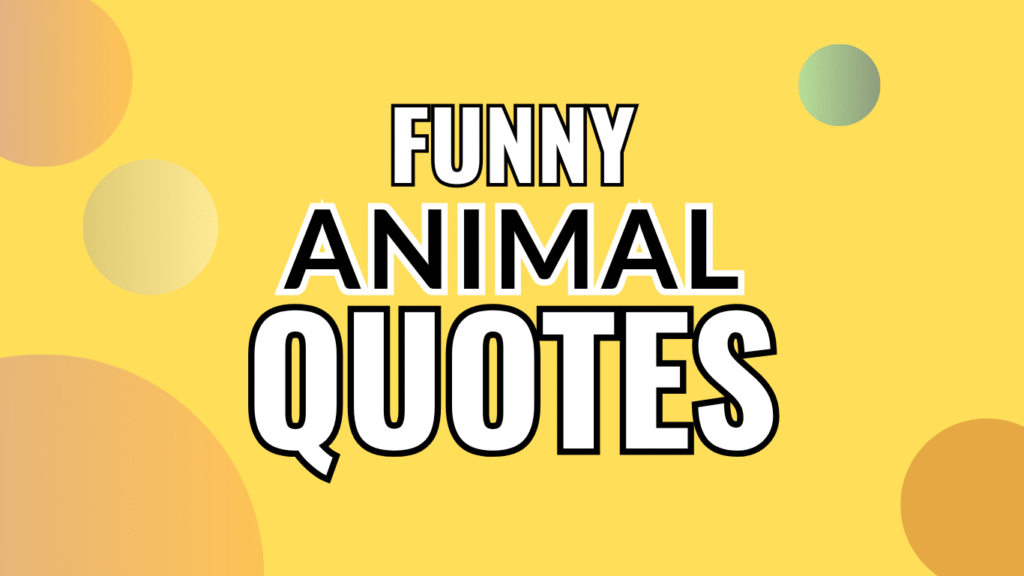 50 Funny Animal Quotes That Prove Nature Is the Funniest Comedian
