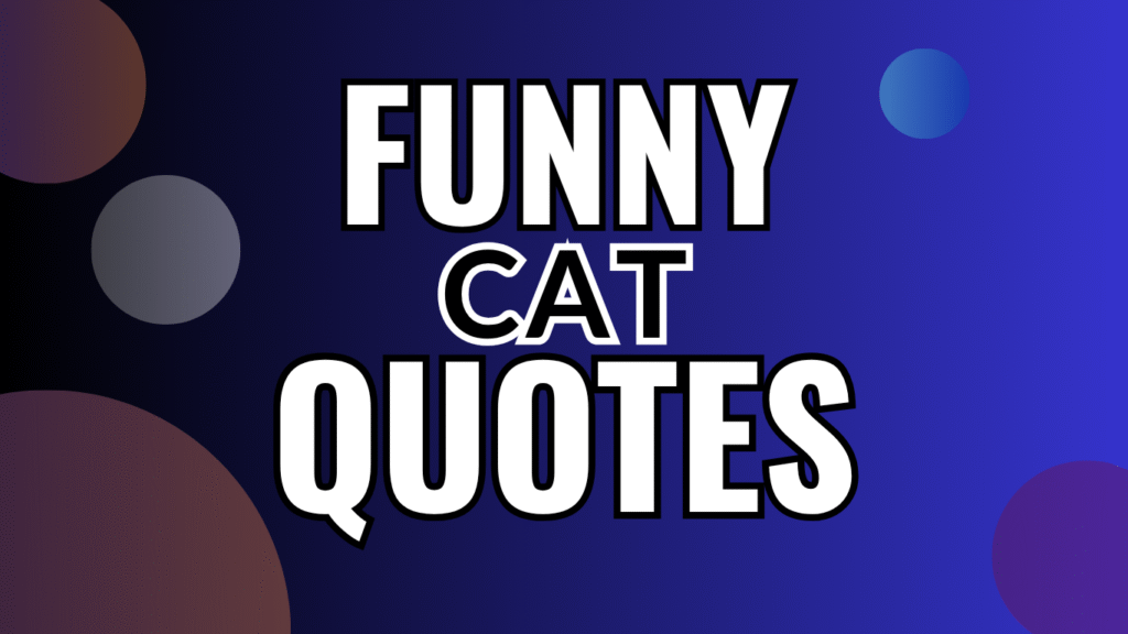 80 Funny Cat Quotes for Cat Moms Who Know the Chaos Is Real