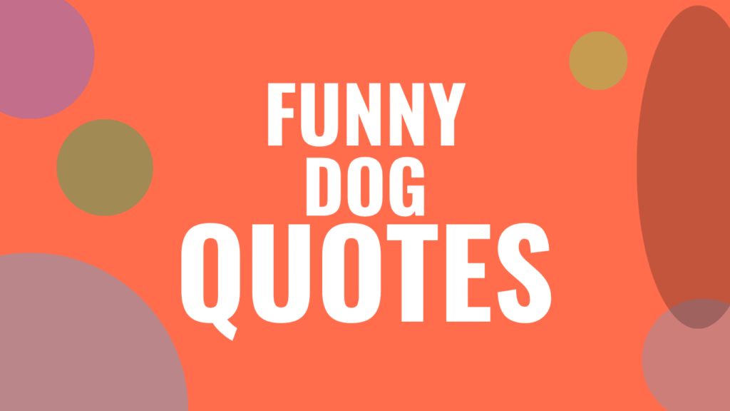 60 Funny Dog Quotes for Instagram