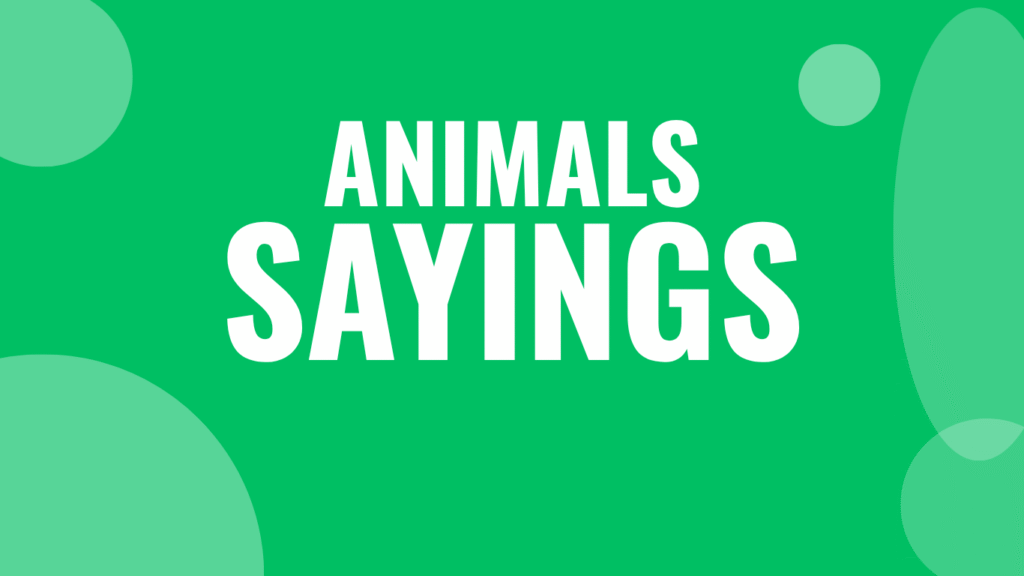 60 Animal Sayings So Funny To Read