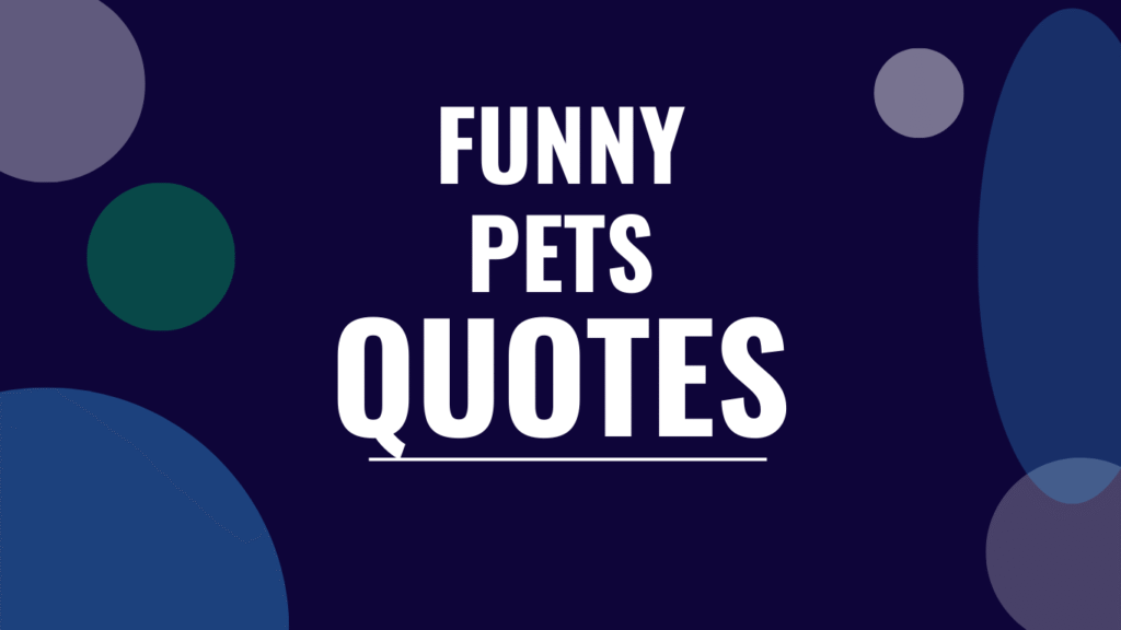 75 Funny Pet Quotes Every Pet Parent Can Relate To