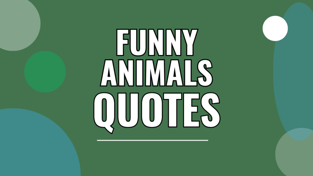 100 Funny Animal Quotes That Are Perfect for Pinterest Pins