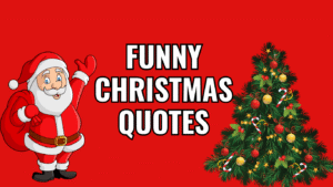 50 Funny Relatable Christmas Quotes for Anyone