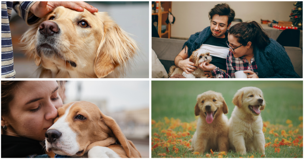 75 Funny Pet Quotes for People Who Love Animals More Than Humans