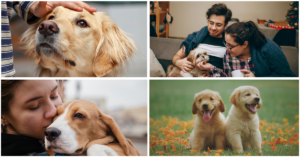 75 Funny Pet Quotes for People Who Love Animals More Than Humans